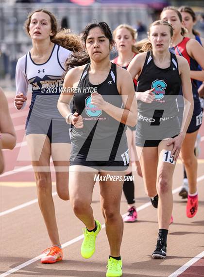 Thumbnail 3 in Herd Roundup @ Elk Grove photogallery.