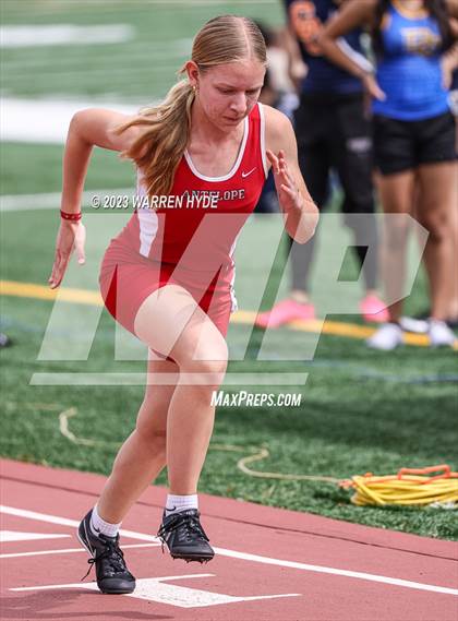 Thumbnail 1 in Herd Roundup @ Elk Grove photogallery.