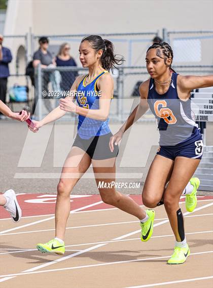 Thumbnail 1 in Herd Roundup @ Elk Grove photogallery.