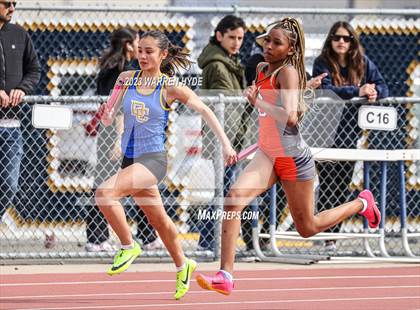 Thumbnail 2 in Herd Roundup @ Elk Grove photogallery.