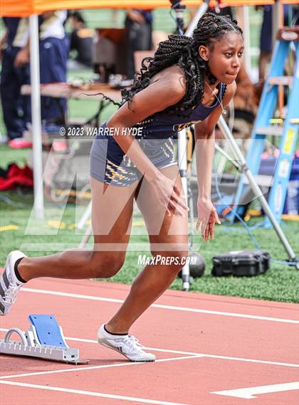 Thumbnail 2 in Herd Roundup @ Elk Grove photogallery.