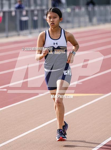 Thumbnail 1 in Herd Roundup @ Elk Grove photogallery.
