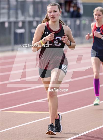 Thumbnail 2 in Herd Roundup @ Elk Grove photogallery.