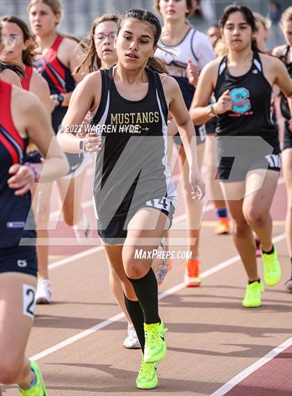 Thumbnail 2 in Herd Roundup @ Elk Grove photogallery.
