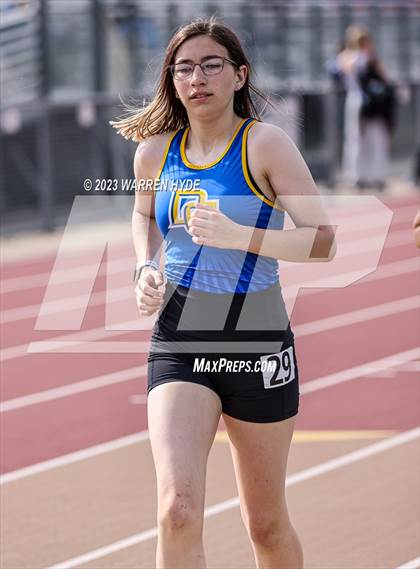 Thumbnail 3 in Herd Roundup @ Elk Grove photogallery.