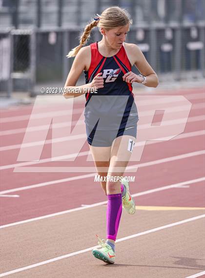 Thumbnail 3 in Herd Roundup @ Elk Grove photogallery.