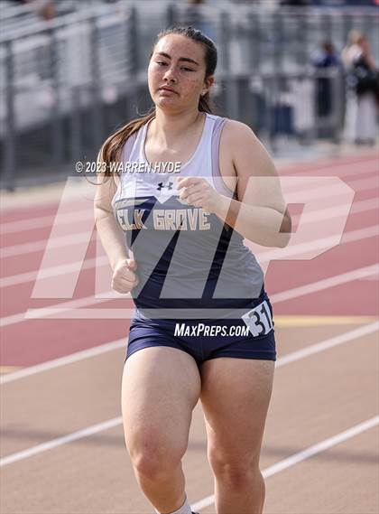 Thumbnail 1 in Herd Roundup @ Elk Grove photogallery.