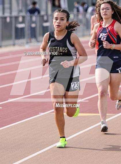 Thumbnail 1 in Herd Roundup @ Elk Grove photogallery.