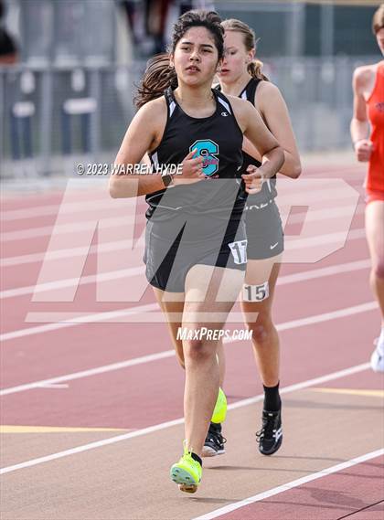 Thumbnail 3 in Herd Roundup @ Elk Grove photogallery.