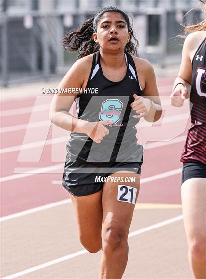 Thumbnail 2 in Herd Roundup @ Elk Grove photogallery.