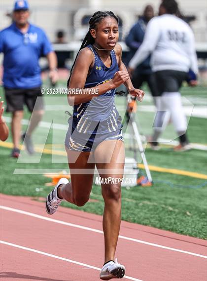 Thumbnail 3 in Herd Roundup @ Elk Grove photogallery.