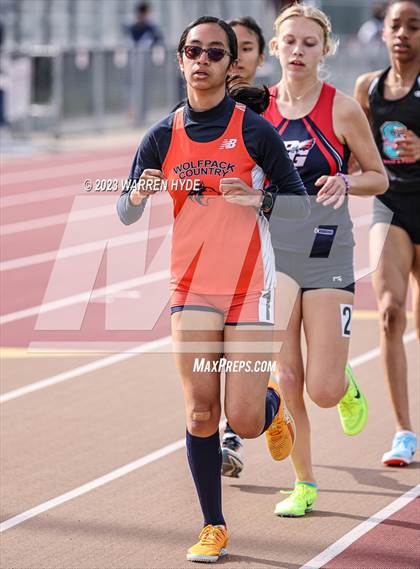 Thumbnail 2 in Herd Roundup @ Elk Grove photogallery.
