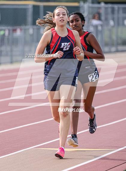 Thumbnail 2 in Herd Roundup @ Elk Grove photogallery.