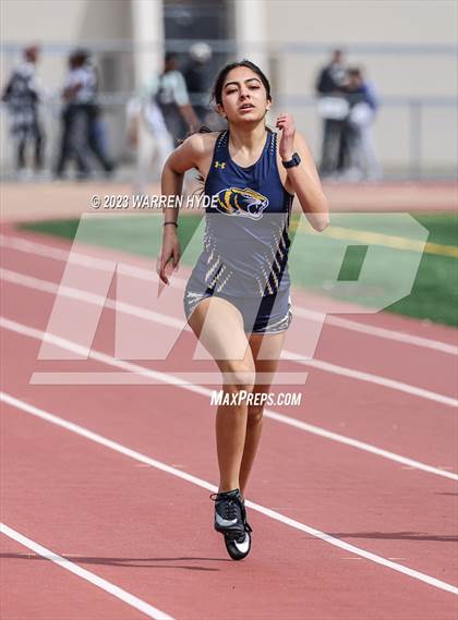 Thumbnail 1 in Herd Roundup @ Elk Grove photogallery.
