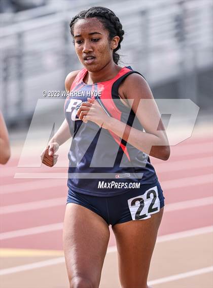Thumbnail 3 in Herd Roundup @ Elk Grove photogallery.