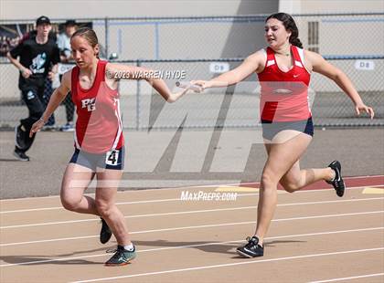 Thumbnail 1 in Herd Roundup @ Elk Grove photogallery.