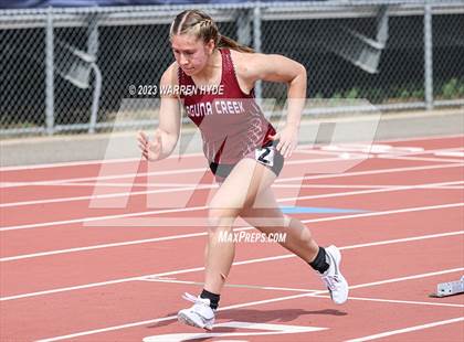 Thumbnail 3 in Herd Roundup @ Elk Grove photogallery.