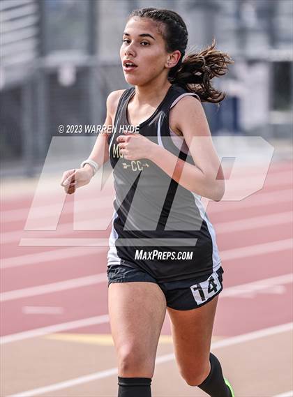Thumbnail 1 in Herd Roundup @ Elk Grove photogallery.
