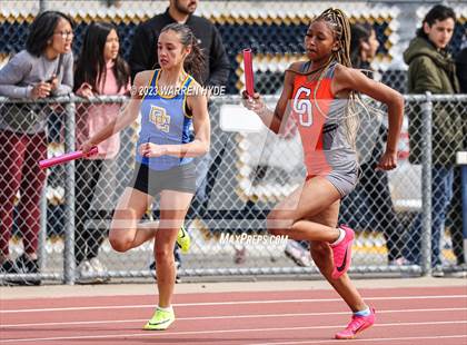 Thumbnail 3 in Herd Roundup @ Elk Grove photogallery.