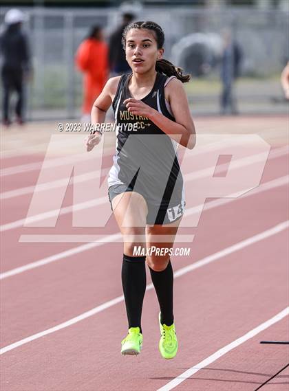Thumbnail 2 in Herd Roundup @ Elk Grove photogallery.