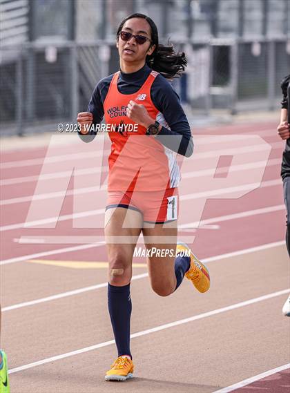 Thumbnail 3 in Herd Roundup @ Elk Grove photogallery.