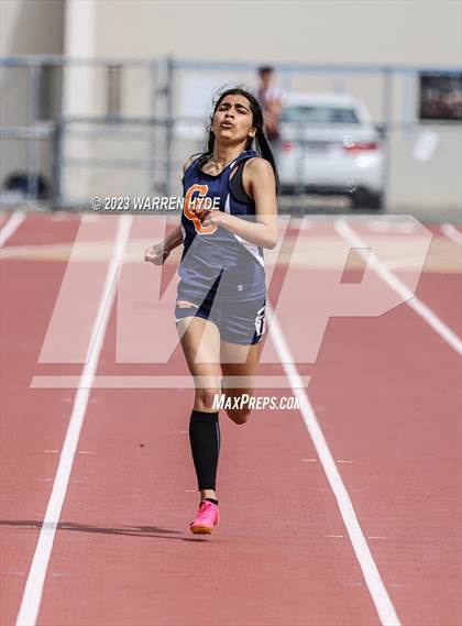 Thumbnail 3 in Herd Roundup @ Elk Grove photogallery.
