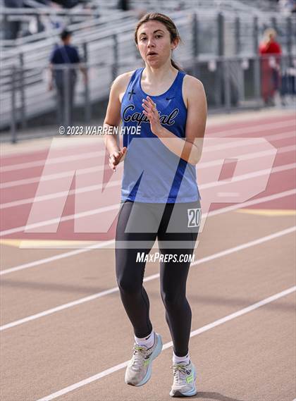 Thumbnail 1 in Herd Roundup @ Elk Grove photogallery.