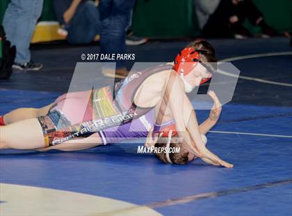 Thumbnail 3 in NYSPHSAA Wrestling Championships (Division 2 Quarterfinals) photogallery.