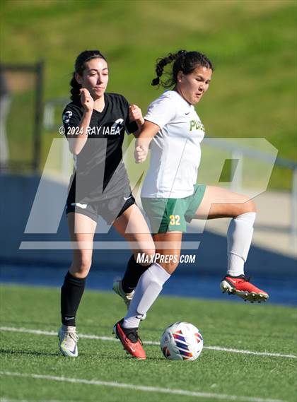 Thumbnail 2 in Colfax vs. Placer (CIF SJS D4 Final) photogallery.
