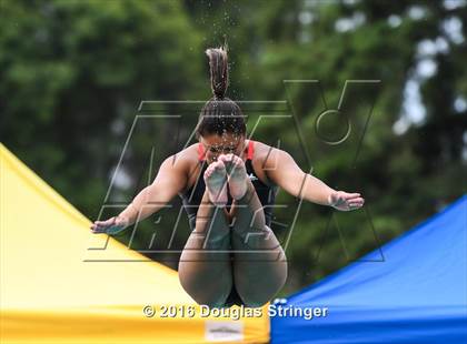 Thumbnail 2 in CIF CCS Girls Diving Championships photogallery.
