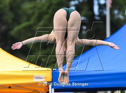 Thumbnail 1 in CIF CCS Girls Diving Championships photogallery.