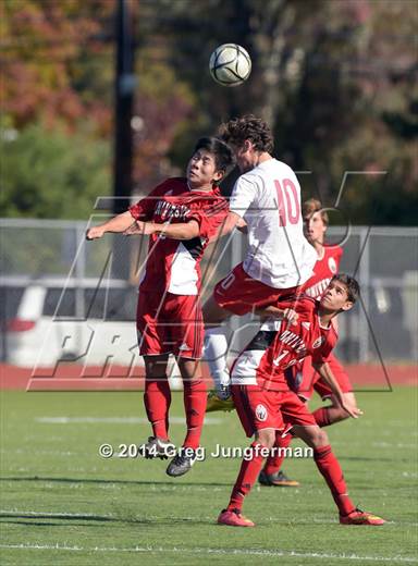 null - Photo 21