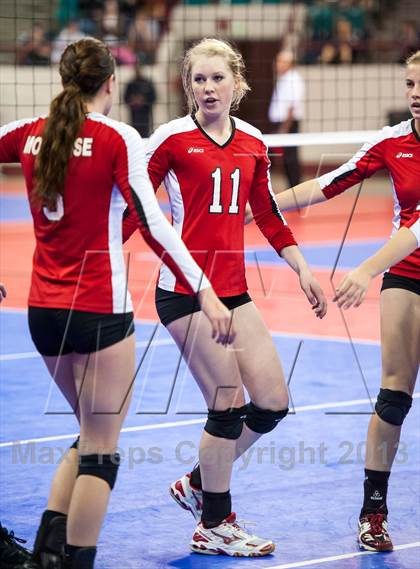 Thumbnail 1 in Montrose vs. Elizabeth (CHSAA 4A Pool 4) photogallery.