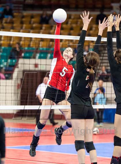 Thumbnail 2 in Montrose vs. Elizabeth (CHSAA 4A Pool 4) photogallery.