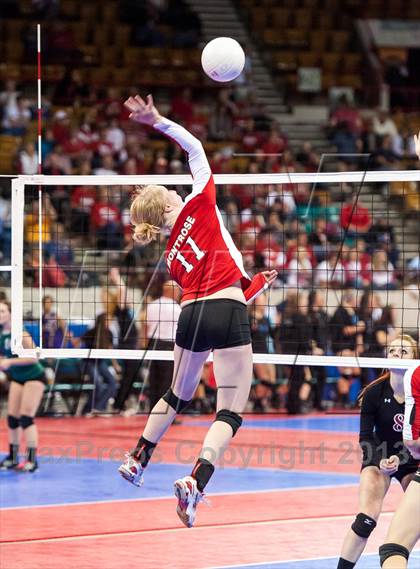 Thumbnail 2 in Montrose vs. Elizabeth (CHSAA 4A Pool 4) photogallery.