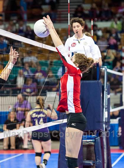 Thumbnail 3 in Montrose vs. Elizabeth (CHSAA 4A Pool 4) photogallery.