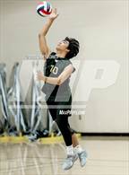 Photo from the gallery "Del Oro @ Whitney"