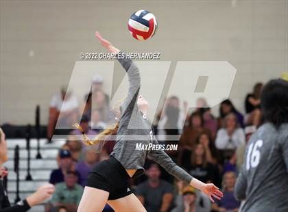 Thumbnail 1 in A&M Consolidated @ College Station photogallery.