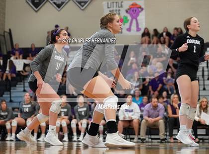 Thumbnail 3 in A&M Consolidated @ College Station photogallery.