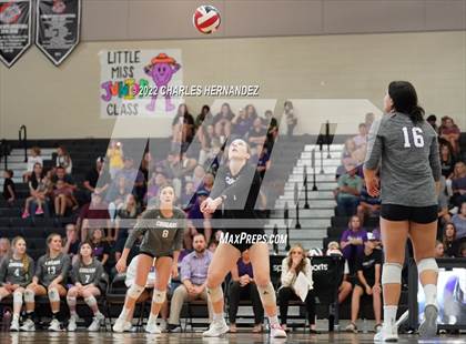 Thumbnail 2 in A&M Consolidated @ College Station photogallery.