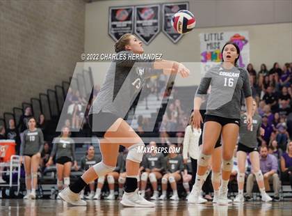 Thumbnail 2 in A&M Consolidated @ College Station photogallery.