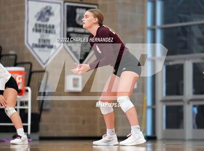 Thumbnail 1 in A&M Consolidated @ College Station photogallery.