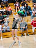 Photo from the gallery "Franklin @ Laguna Creek"