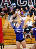 Photo from the gallery "Franklin @ Laguna Creek"