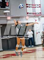 Photo from the gallery "Franklin @ Laguna Creek"