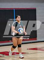 Photo from the gallery "Franklin @ Laguna Creek"