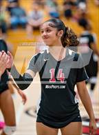 Photo from the gallery "Franklin @ Laguna Creek"