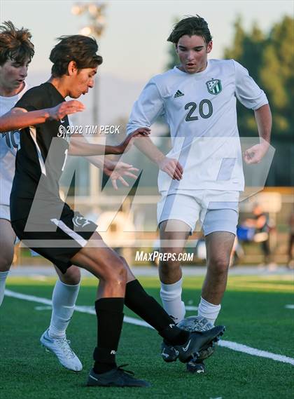 Thumbnail 3 in Edison @ Villa Park photogallery.
