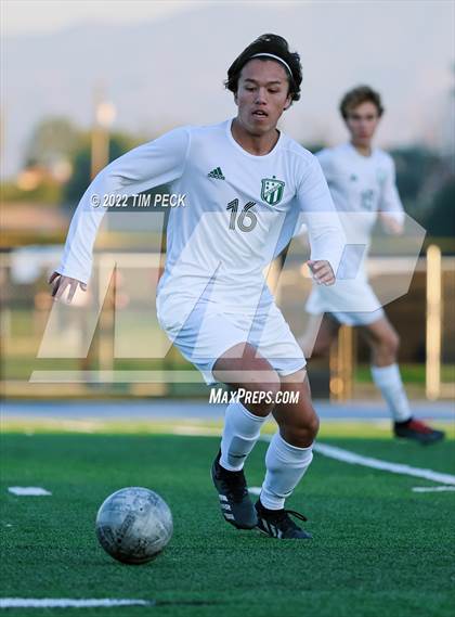 Thumbnail 3 in Edison @ Villa Park photogallery.