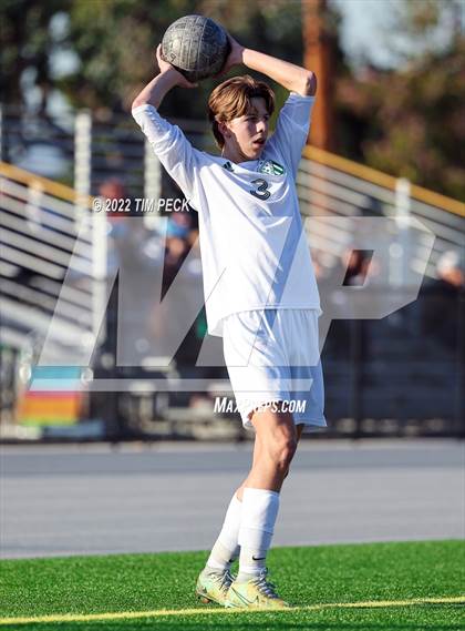 Thumbnail 2 in Edison @ Villa Park photogallery.